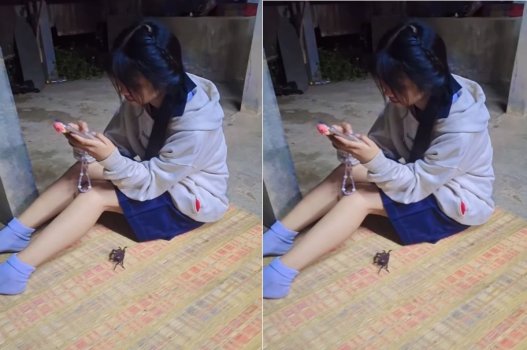 phim sex bl anime Sex nữ sinh sang nhà bạn chơi bị đè ra vét máng